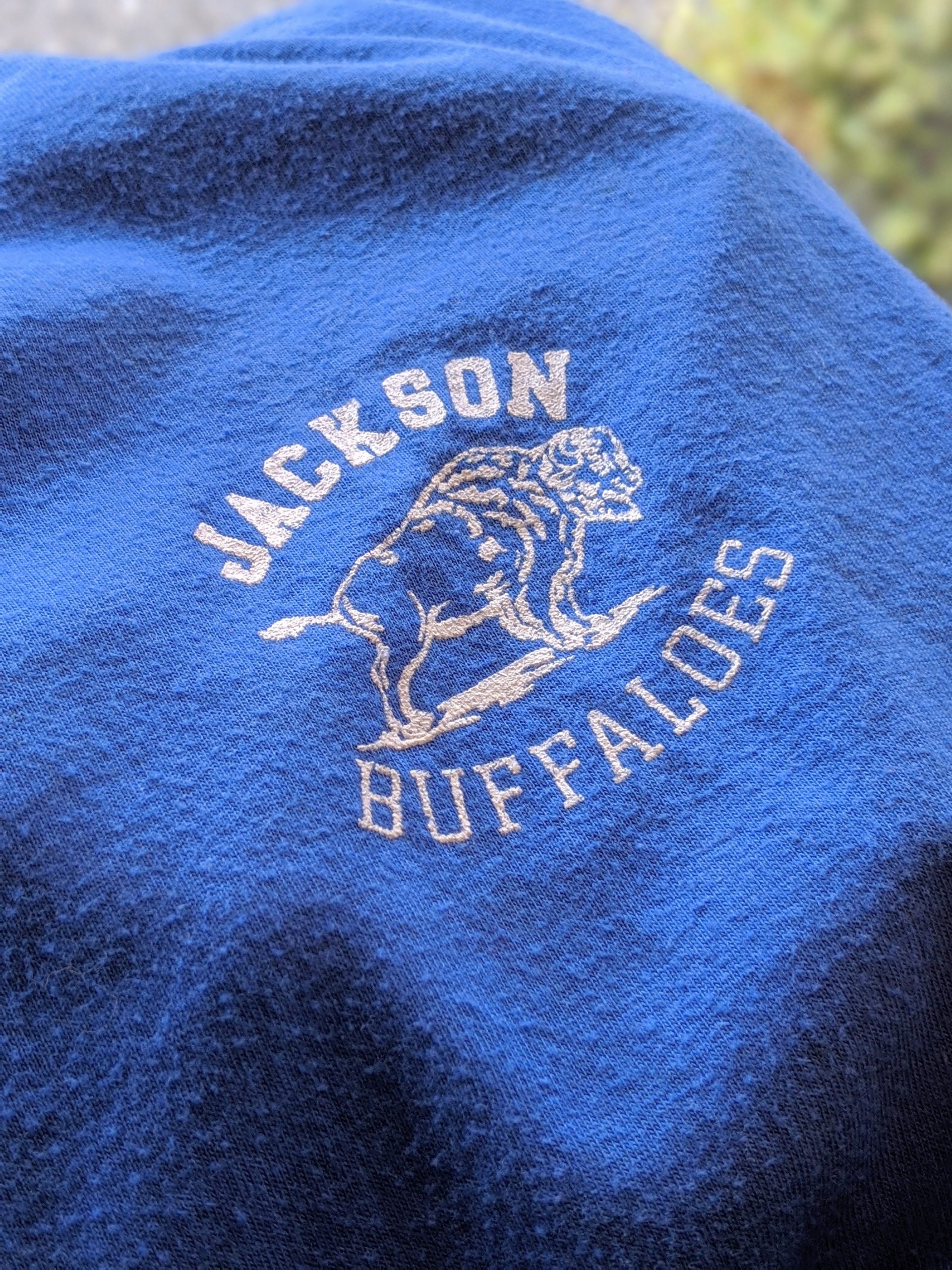 1970s-80s USA SCREEN STARS “JACKSON BUFFALOES” Print T